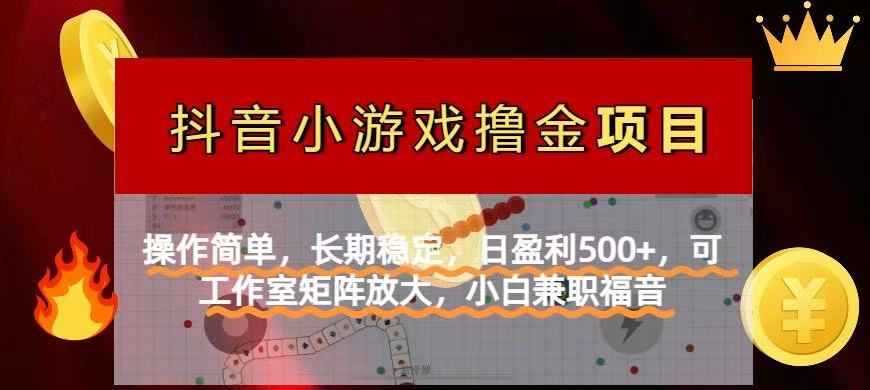 （14290期）【抖音小游戏发行人计划项目】操作简单，长期稳定，日盈利500+，可工作...-青年云网创—高质量项目商城